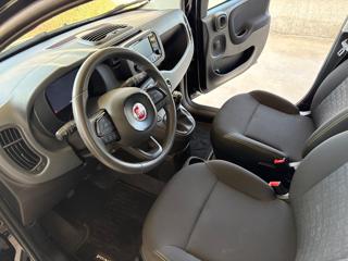 FIAT Panda usata, con Controllo trazione