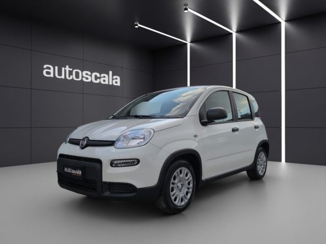 FIAT Panda usata, con ABS