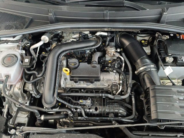 SKODA Fabia usata, con Airbag testa