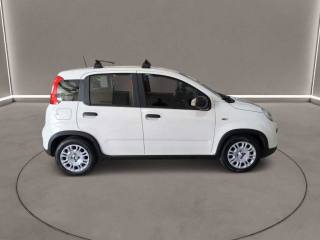 FIAT Panda usata, con Airbag Passeggero