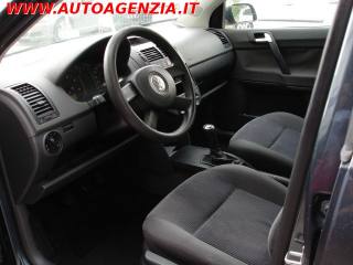 VOLKSWAGEN Polo usata 10