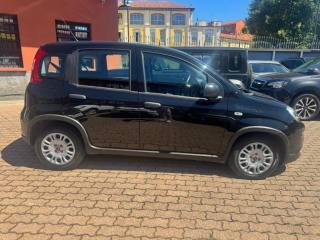 FIAT Panda usata, con Climatizzatore