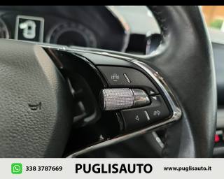 SKODA Fabia usata, con ESP