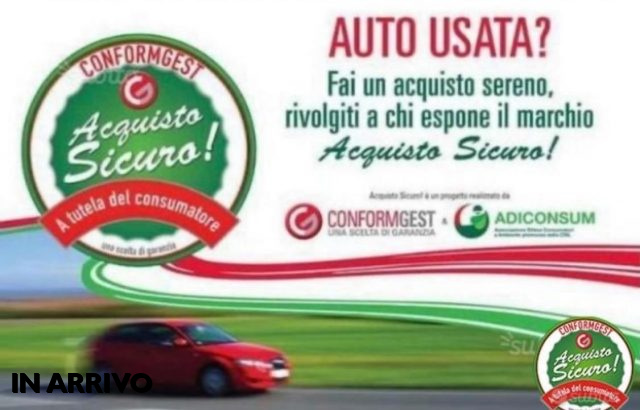 FIAT Punto usata 23