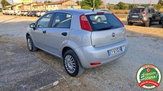 FIAT Punto usata, con Airbag