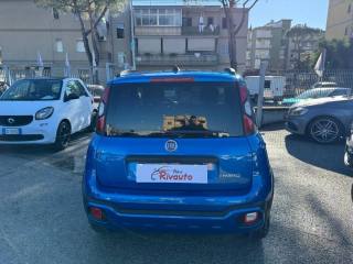 FIAT Panda Cross usata, con Climatizzatore