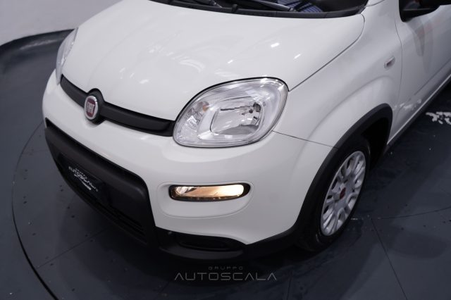 FIAT New Panda usata 23