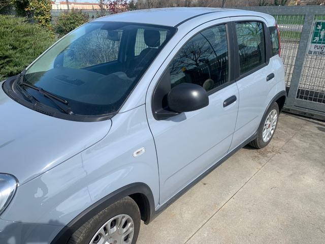 FIAT Panda usata, con Alzacristalli elettrici