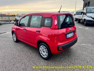 FIAT Panda usata, con Airbag Passeggero