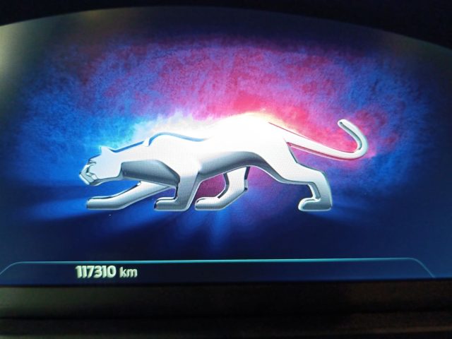 FORD Puma usata, con Fari LED