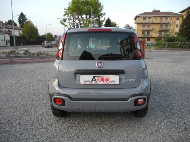 FIAT Panda Cross usata 69