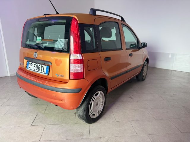 FIAT Panda usata 15