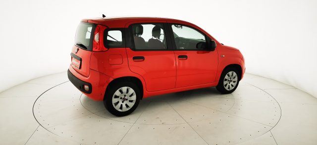 FIAT Panda usata 17