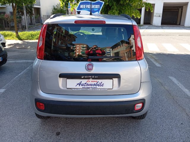 FIAT Panda usata 4