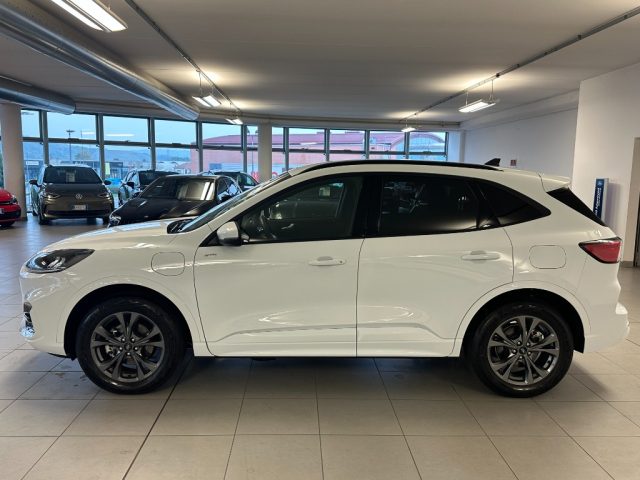 FORD Kuga usata, con Alzacristalli elettrici