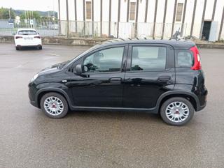 FIAT Panda usata, con Bluetooth