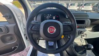 FIAT Pandina usata, con ESP