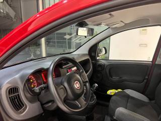 FIAT Panda usata 23