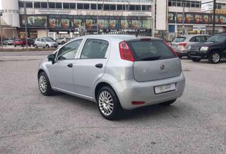 FIAT Punto usata, con Fendinebbia