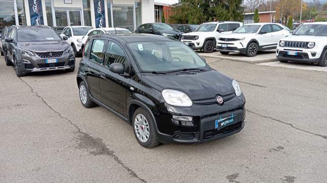 FIAT Panda usata, con Airbag Passeggero