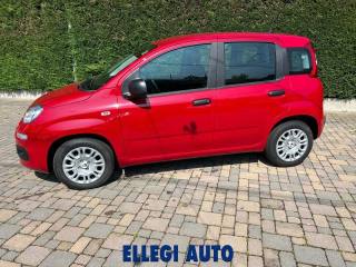 FIAT Panda usata, con Sensori di parcheggio posteriori