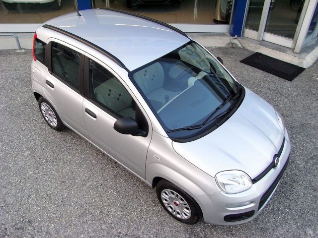 FIAT Panda usata 37