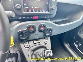 FIAT Panda usata, con Fendinebbia