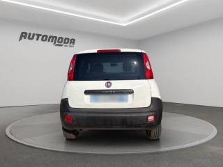 FIAT Panda usata, con Controllo trazione