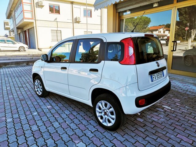FIAT Panda usata, con Alzacristalli elettrici