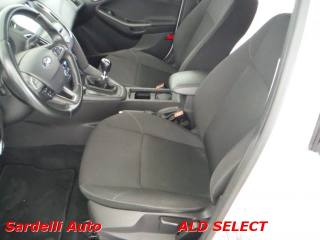FORD Focus usata, con Climatizzatore