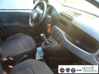 FIAT Panda usata, con Sensori di parcheggio posteriori