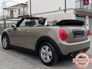 MINI Cabrio usata 74
