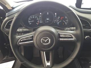 MAZDA CX-30 usata, con Boardcomputer