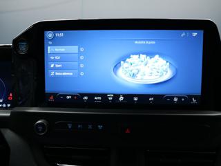 FORD Transit Custom usata, con Cruise Control