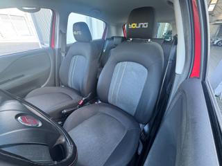 FIAT Punto usata 12