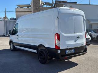 FORD Transit usata, con Bracciolo