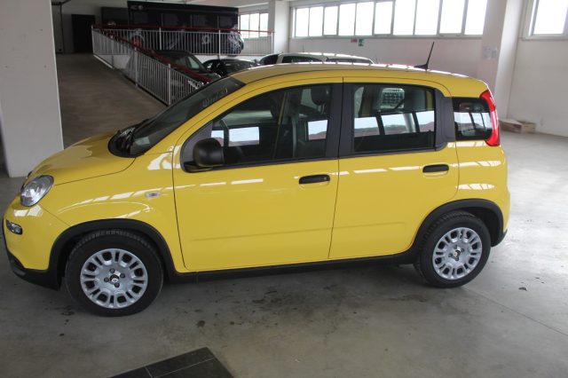 FIAT Panda usata, con Airbag Passeggero