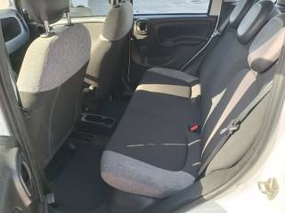 FIAT Panda usata, con Immobilizzatore elettronico