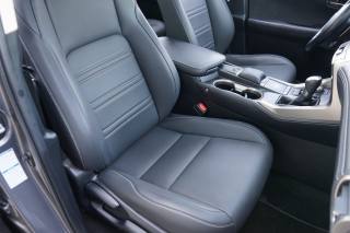 LEXUS NX 300h usata, con Sedile posteriore sdoppiato