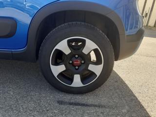 FIAT Panda Cross usata, con Fendinebbia