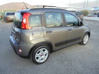 FIAT Panda usata 20