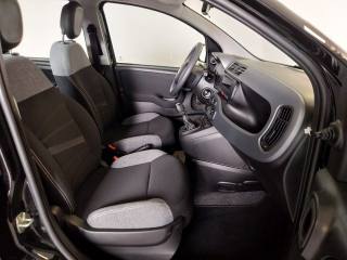 FIAT Panda usata, con Controllo trazione