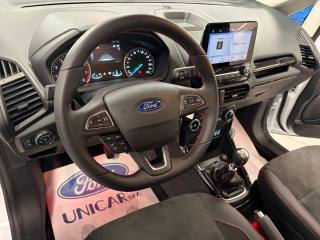 FORD EcoSport usata, con Vetri oscurati