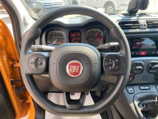 FIAT Panda usata, con Volante multifunzione