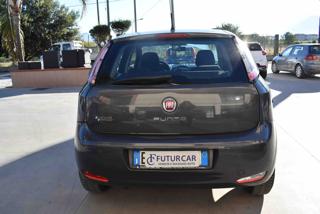 FIAT Punto usata, con Servosterzo
