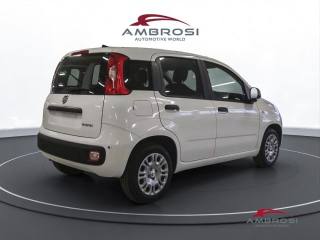 FIAT Panda usata 1