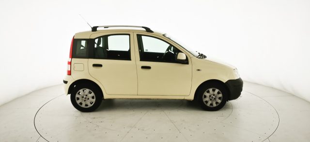 FIAT Panda usata 5