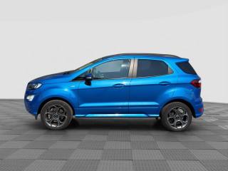 FORD EcoSport usata 1