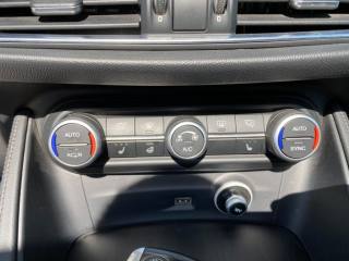 ALFA ROMEO Stelvio usata 26