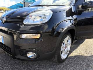 FIAT Panda usata 13